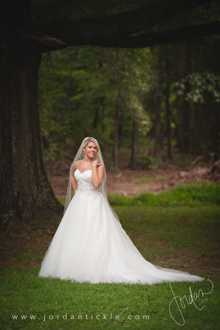 bridal_portrait_greensboro_wedding_photographer-1
