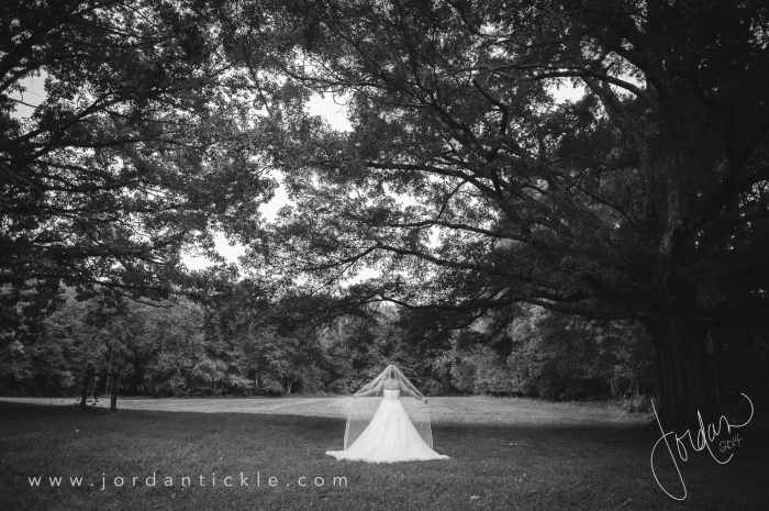 bridal_portrait_greensboro_wedding_photographer-3